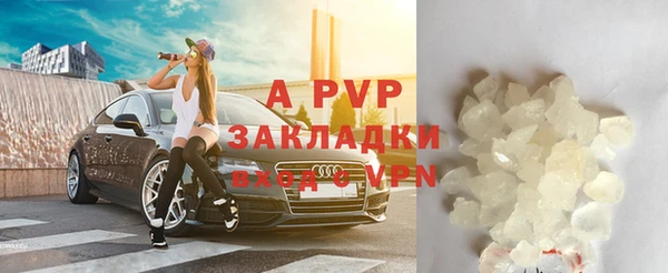 индика Бронницы
