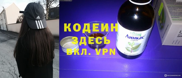 индика Бронницы