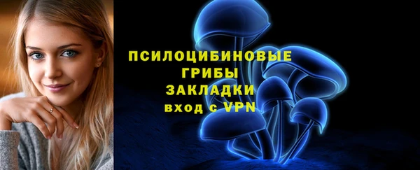 не бодяженный Арсеньев