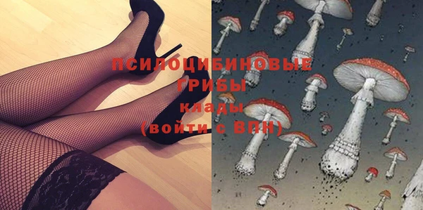 не бодяженный Арсеньев
