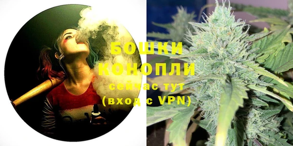 соль ск Бородино