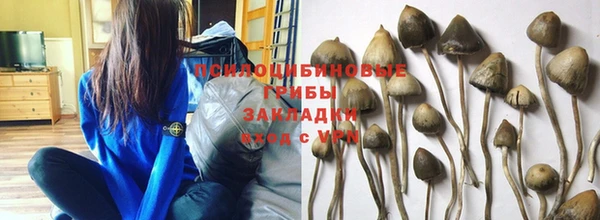 не бодяженный Арсеньев