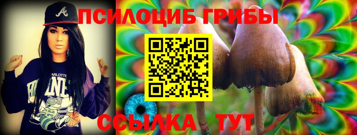 Галлюциногенные грибы ЛСД Строитель