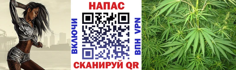Конопля семена Строитель